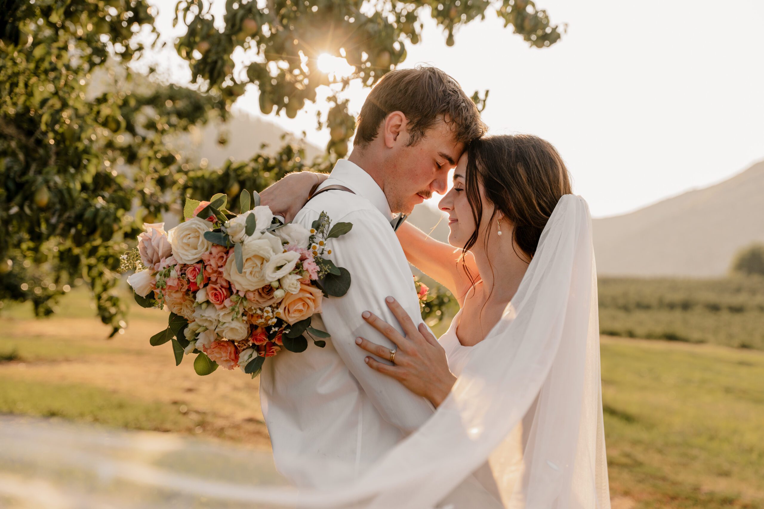 Golden hour in the orchard at The Barn on Hinman